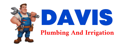 Trusted plumber in THREE SPRINGS